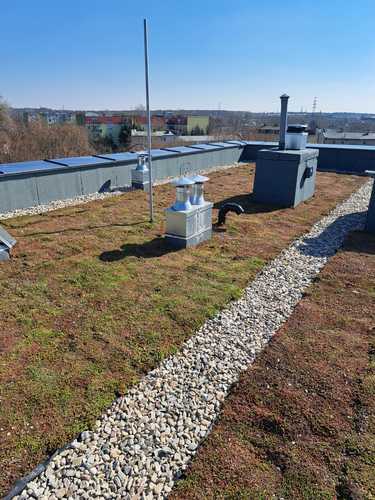 Zielone dachy – przyszłość, która już rośnie na polskich osiedlach